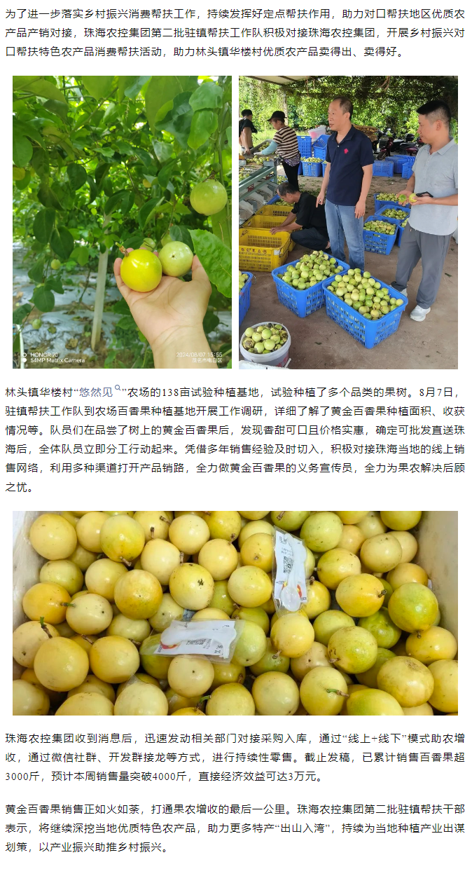 珠海平博在线-平博(中国)
集团助力产销对接 对口帮扶果香飘百里.png